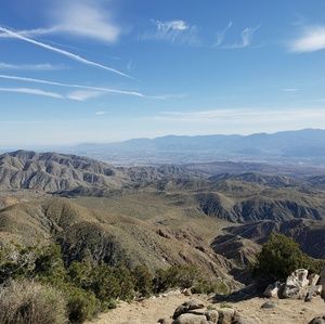 Meet your Posher, Chandler